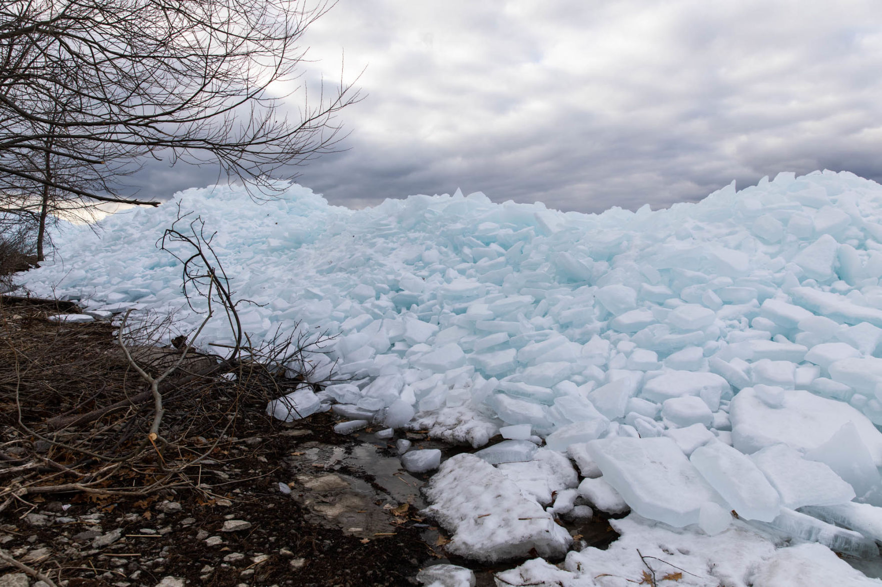 0106_wdj_iceicebaby_SS1.JPG